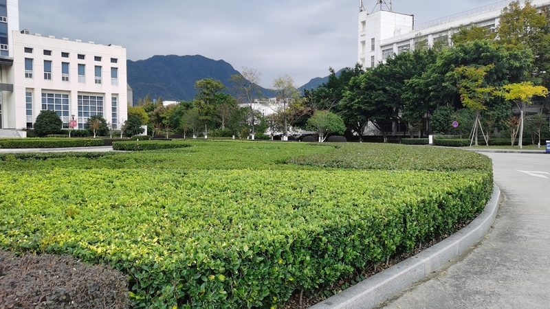 园林绿化灌溉系统安装价格，影响成本的关键因素深度解析